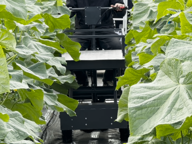 全國電動輪式搬運車設(shè)備 歡迎咨詢 無錫悅田農(nóng)業(yè)機械科技供應(yīng);