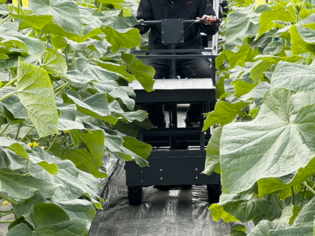 江苏耐用搬运机器参数