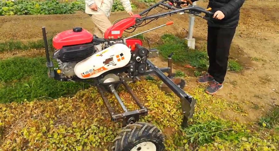 操作简单的蔬菜切根机机器质量好