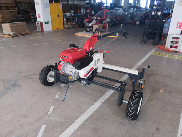 江苏轻松的蔬菜切根机机器质量好