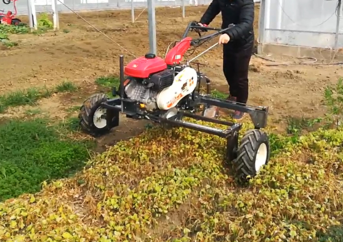 江苏自走式蔬菜切根机机器报价