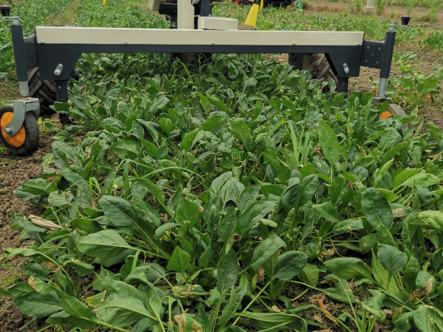 全國(guó)耐用的蔬菜切根機(jī)機(jī)器參數(shù) 歡迎咨詢 無(wú)錫悅田農(nóng)業(yè)機(jī)械科技供應(yīng)