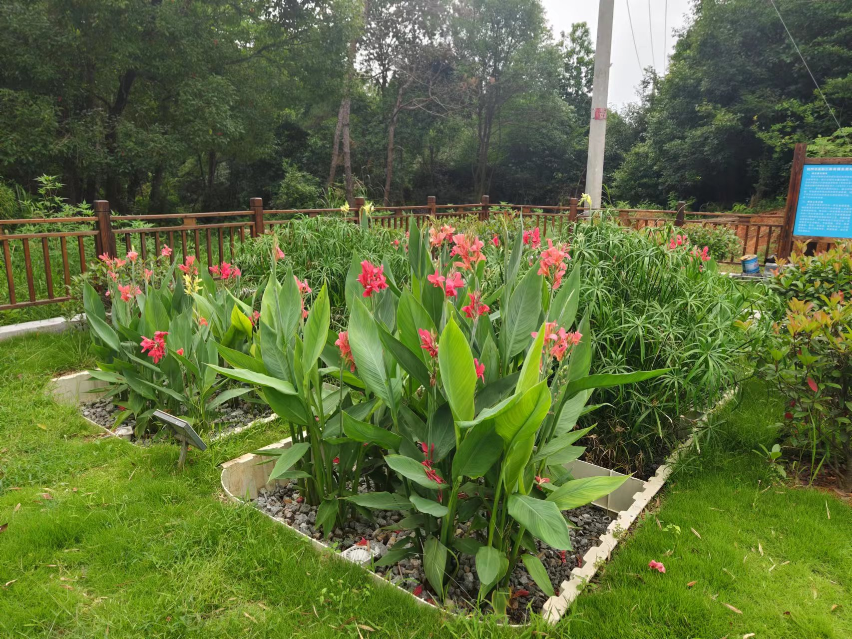 GCE Prefabricated Constructed Wetland