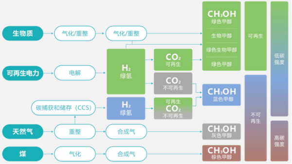超级芦竹