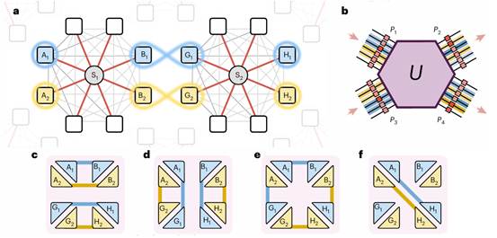 Nature Photonics 報道 | 可重構(gòu)多路復(fù)用量子光子網(wǎng)絡(luò)邁向大規(guī)模量子互聯(lián)