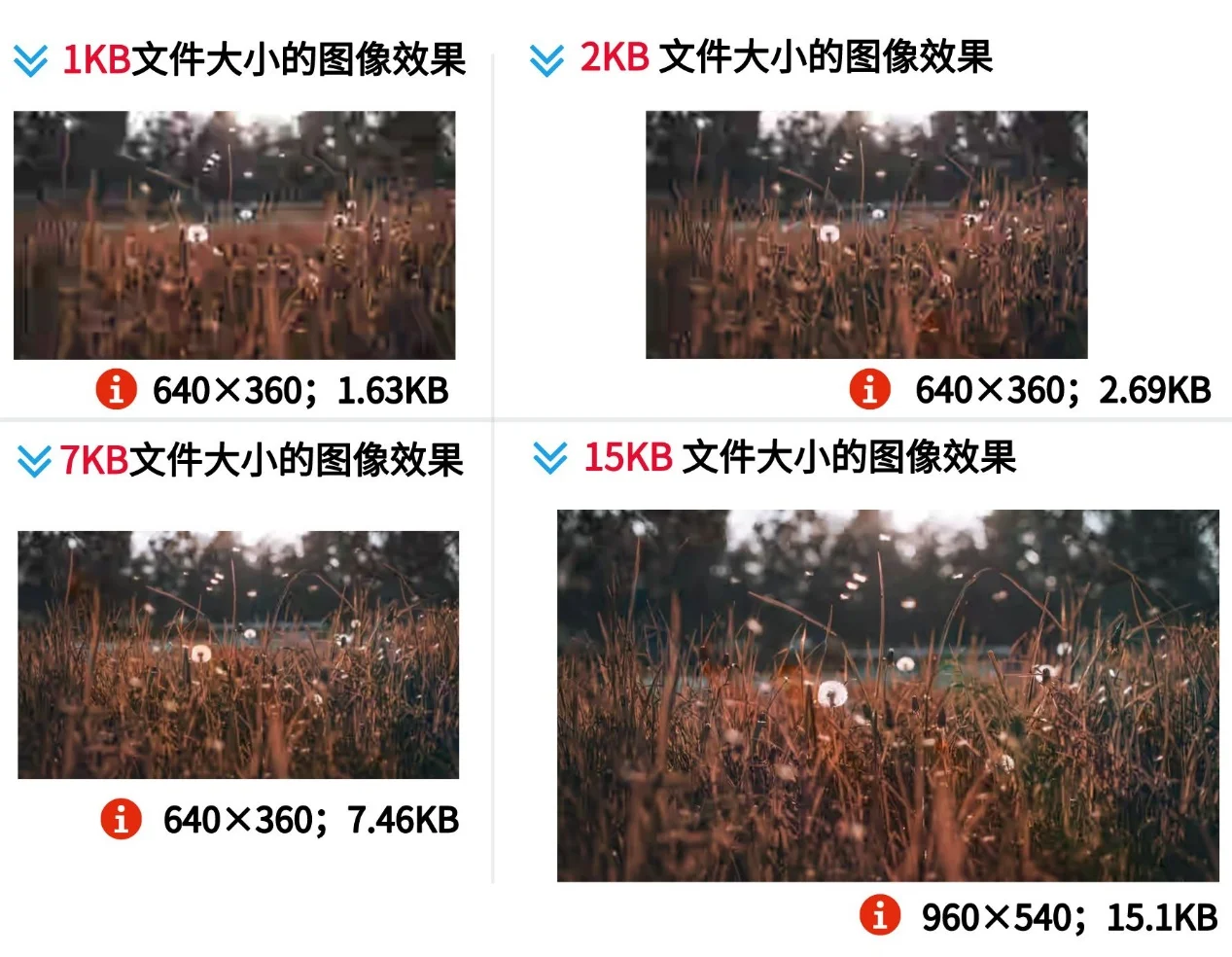 圖像壓縮后不同大小畫(huà)質(zhì)對(duì)比