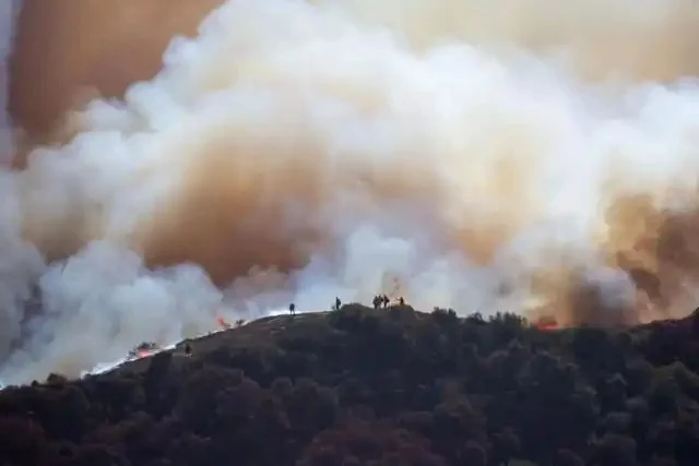 無人機(jī)撞停加州救火飛機(jī) 應(yīng)急救援時如何減少黑飛無人機(jī)的干擾？