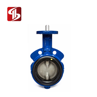 閥門密封件 閥門密封件