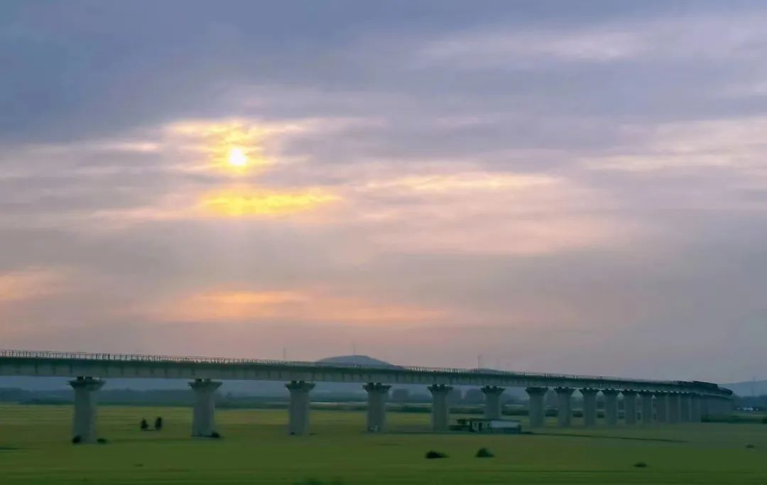 那些經(jīng)歷過(guò)社會(huì)毒打的人