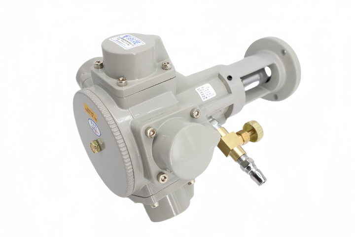 減速氣動(dòng)馬達(dá)廠家 值得信賴 蘇州鄴晟精密供應(yīng)