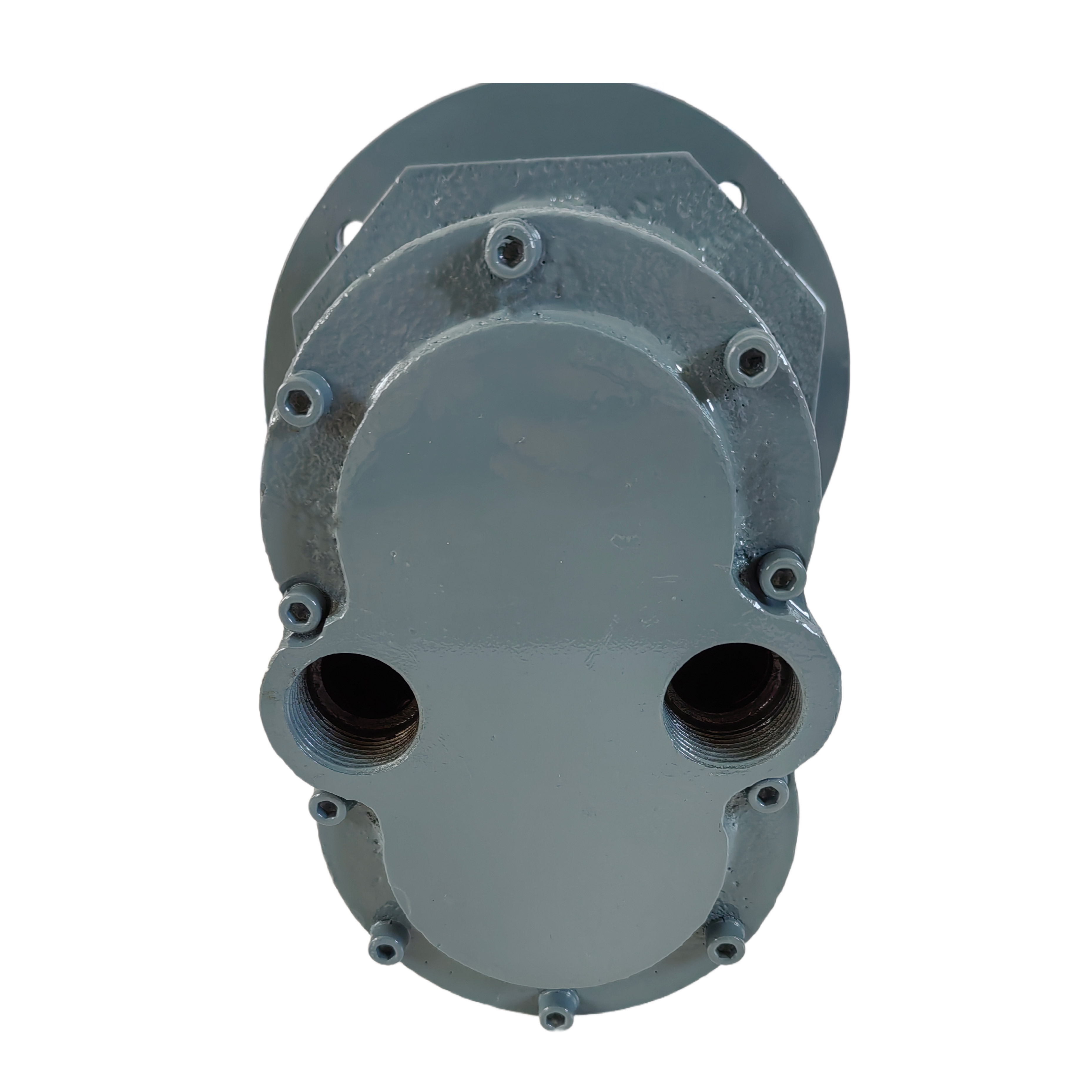 YSG4-F90B5齒輪（lún）式（shì）氣動馬達