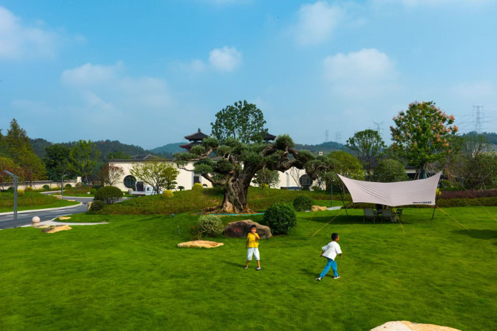 德清高鐵直達(dá)陵園比較好 浙江桃花源控股供應(yīng)