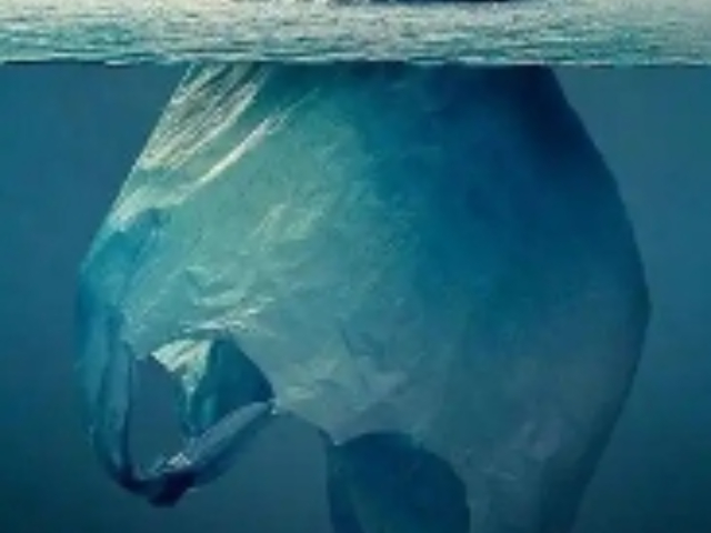 江寧區廣告設計服務電話