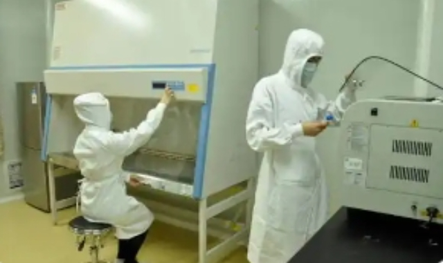 浦口區(qū)什么是基因檢測服務