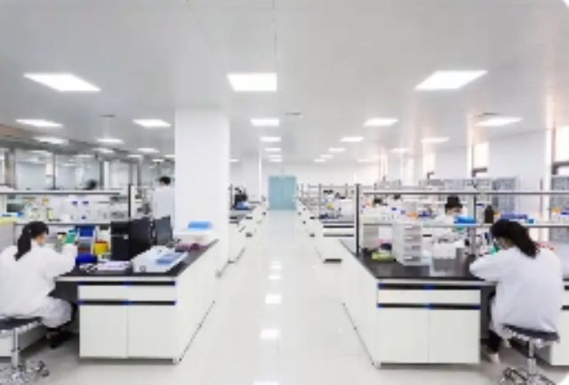 六合區什么是生物技術咨詢