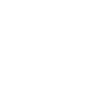 全網(wǎng)推廣運(yùn)營(yíng)執(zhí)行