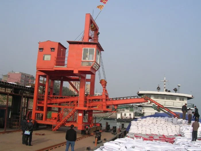 Bag loading machine