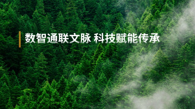 新疆產(chǎn)業(yè)數(shù)智通系統(tǒng),數(shù)智通