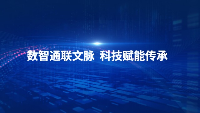 新疆產(chǎn)業(yè)數(shù)智通系統(tǒng),數(shù)智通