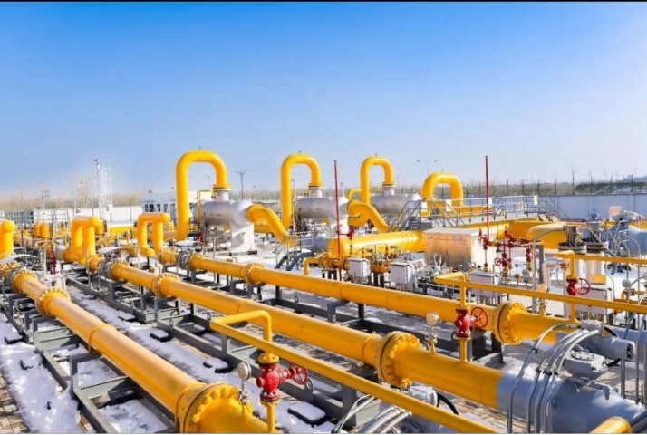 浙江各式起重机出具首检和定检,检验