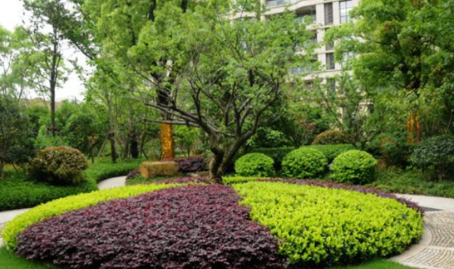 梁溪區(qū)本地園林綠化價位