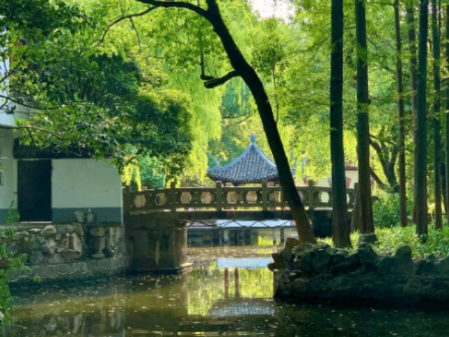 江蘇品牌園林綠化按需定制