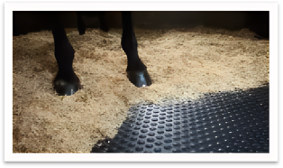 6592accd674391521a5de515d65d6d33