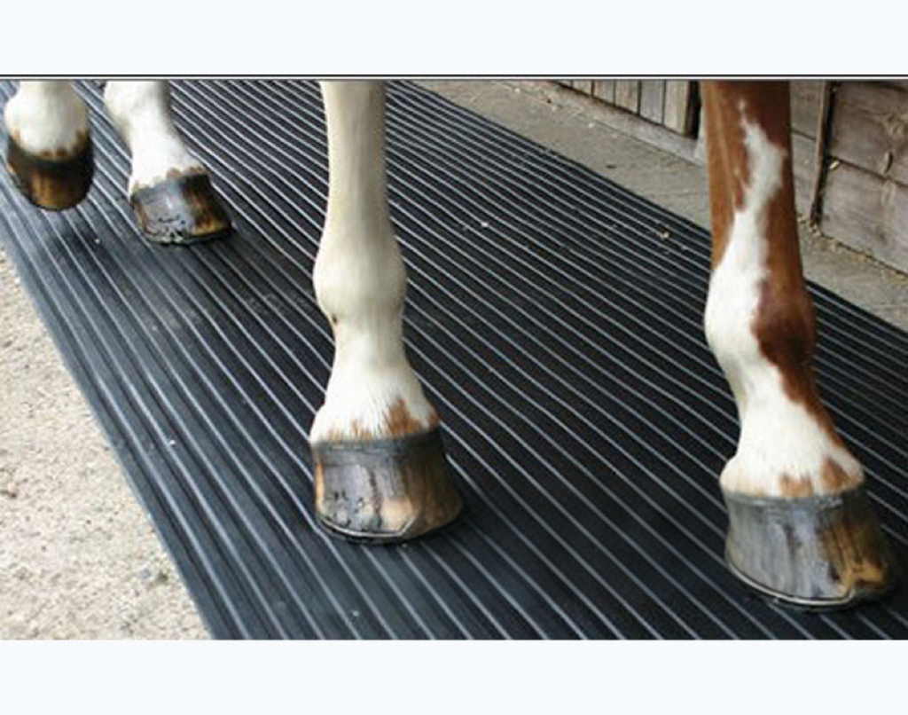 E41b36d5ff31ff4d5ec3082a96e03d7c