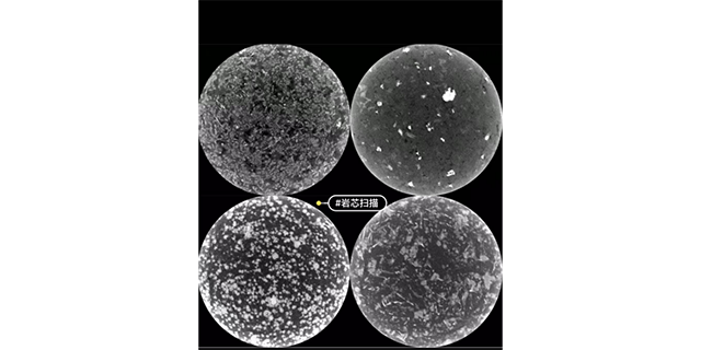 生物樣本斷層掃描流程有哪些 杭州博測材料科技供應(yīng)