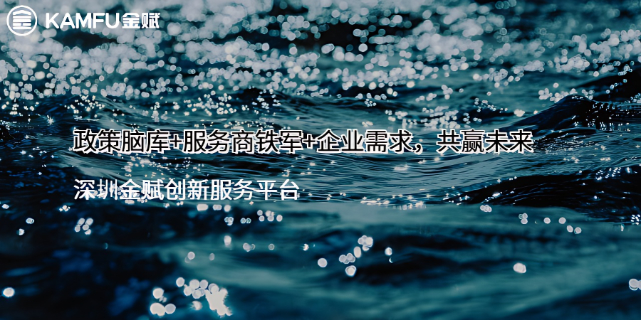 羅湖區(qū)軟件貼息材料,貼息
