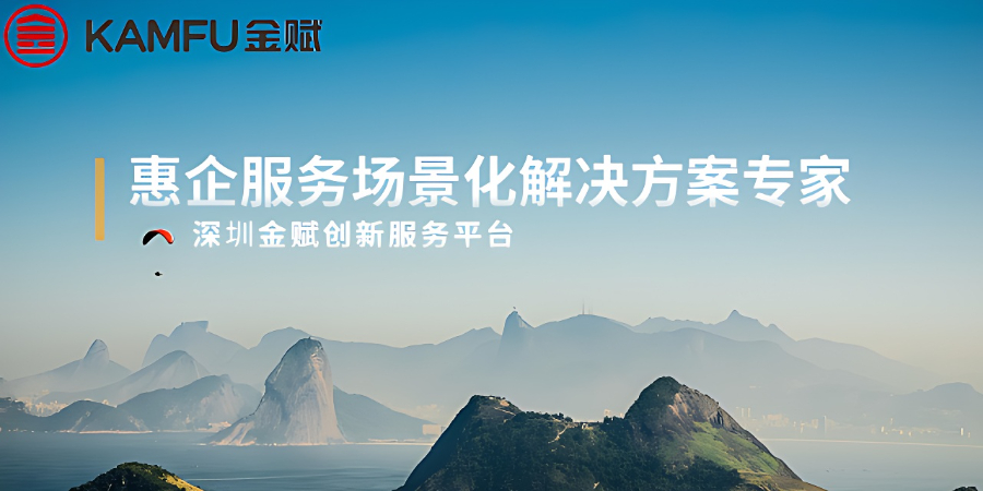 龍華區自主研發惠企服務撰寫