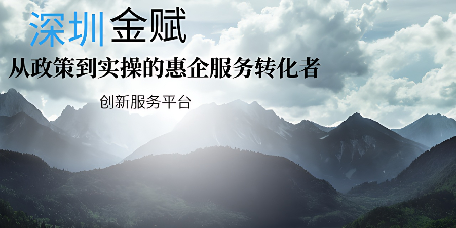 深圳一件事惠企服務快線 深圳金賦科技供應