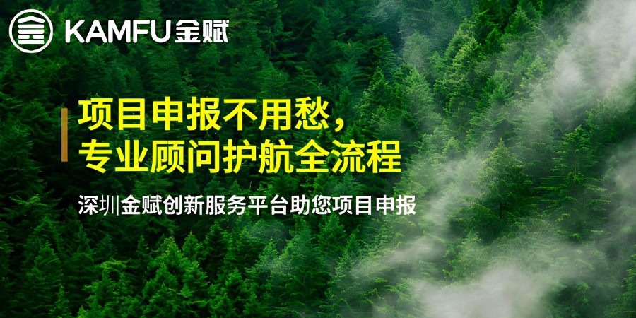 國家項(xiàng)目申報(bào)審核,項(xiàng)目申報(bào)