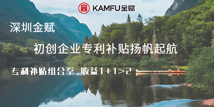 福田區(qū)常規(guī)專利申請?zhí)峤?專利申請