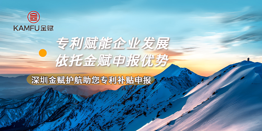 羅湖區(qū)本土專利申請模板