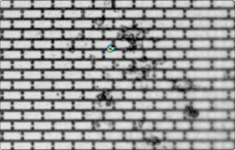 直銷微光顯微鏡成像儀 服務(wù)為先 蘇州致晟光電科技供應(yīng)