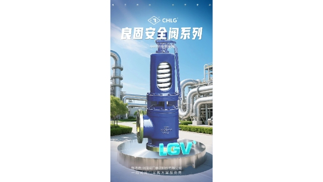 吉林良固安全阀哪家强,安全阀