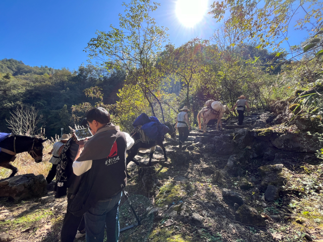 湖北單位廣告片定制價格 武漢首影文化傳媒供應