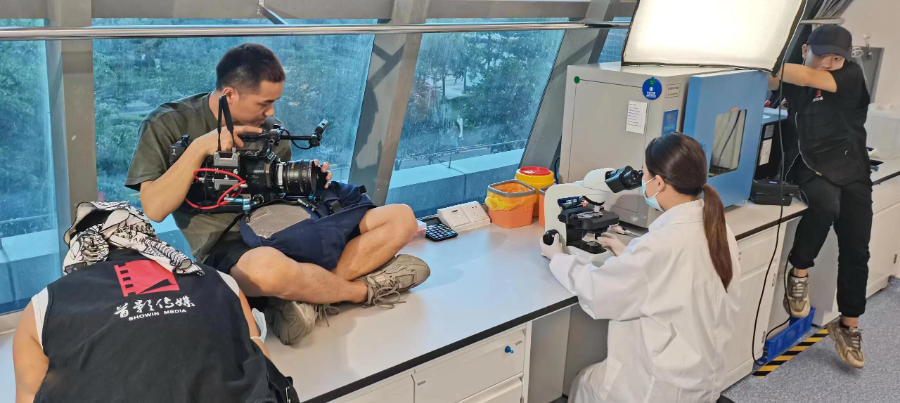 武漢醫(yī)院宣傳視頻費(fèi)用 武漢首影文化傳媒供應(yīng)