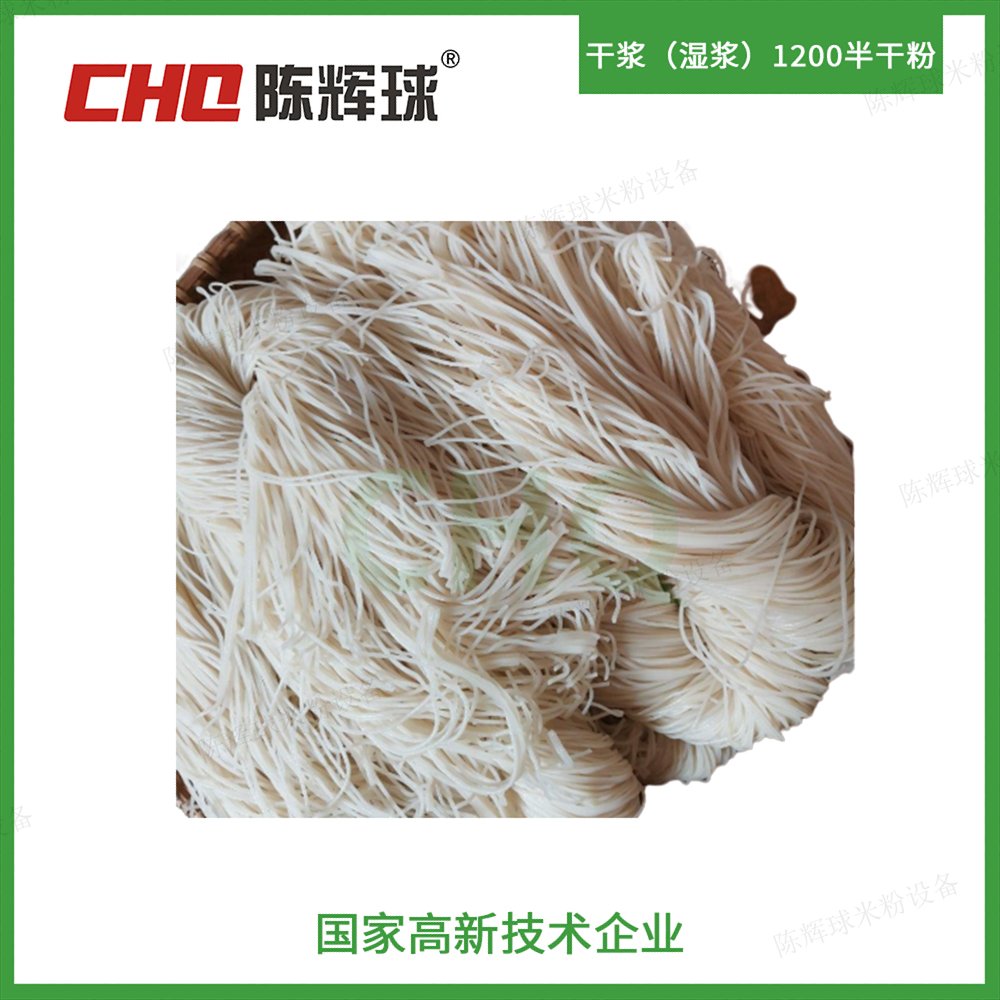CHQ干漿（濕漿）1200半干粉生產(chǎn)線