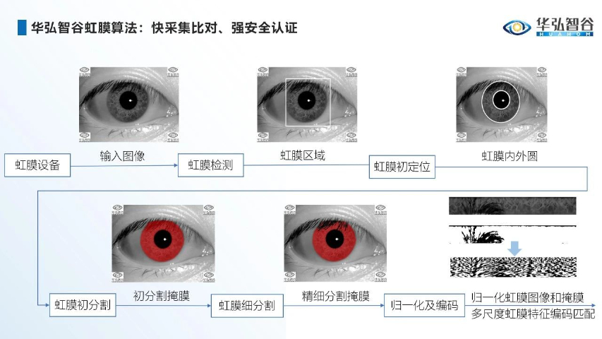 安徽tof眼动追踪 信息推荐 深圳市华弘智谷科技供应