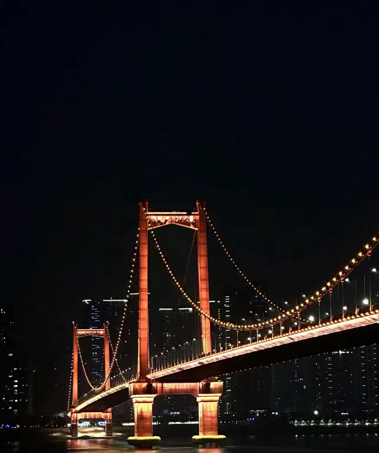 亞行鄭大衛(wèi)先生蒞臨武漢考察（視頻）