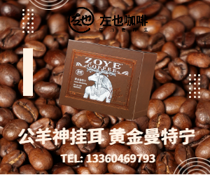 公羊神掛耳黃金曼特寧