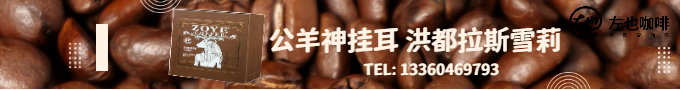 公羊神掛耳洪都拉斯雪莉