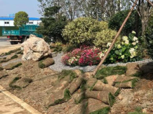 長寧區優勢園林綠化工程施工圖片