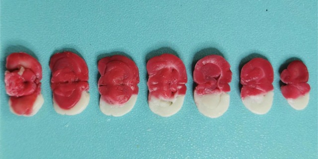 醫(yī)學(xué)實驗外包高質(zhì)量交付醫(yī)學(xué)實驗外包收費
