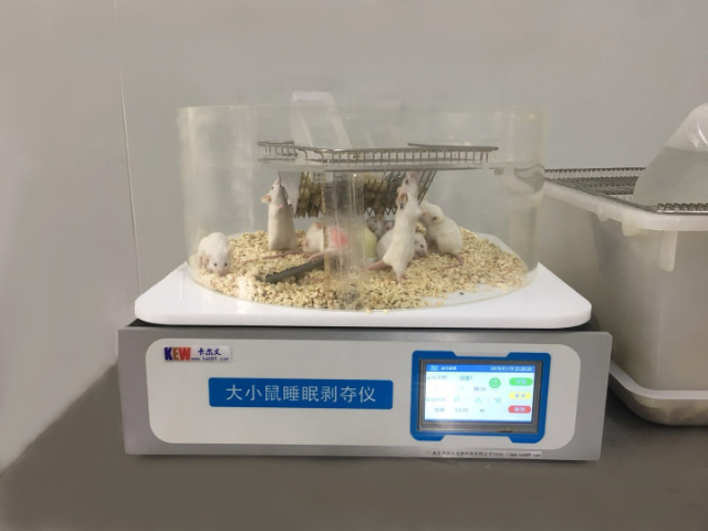 浙江轉棒實驗動物行為學實驗