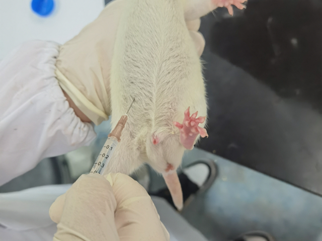 陜西多久動物實驗外包,動物實驗外包