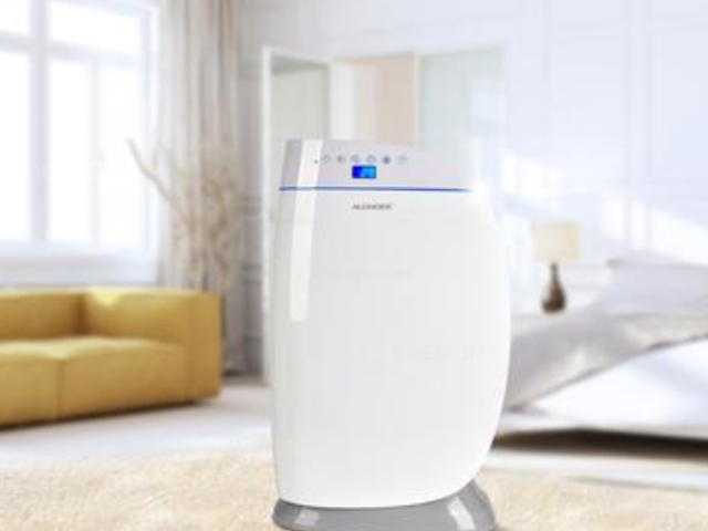 上海生活空氣凈化系統(tǒng)租賃安裝類型 客戶至上 上海三石巖環(huán)境工程供應(yīng)