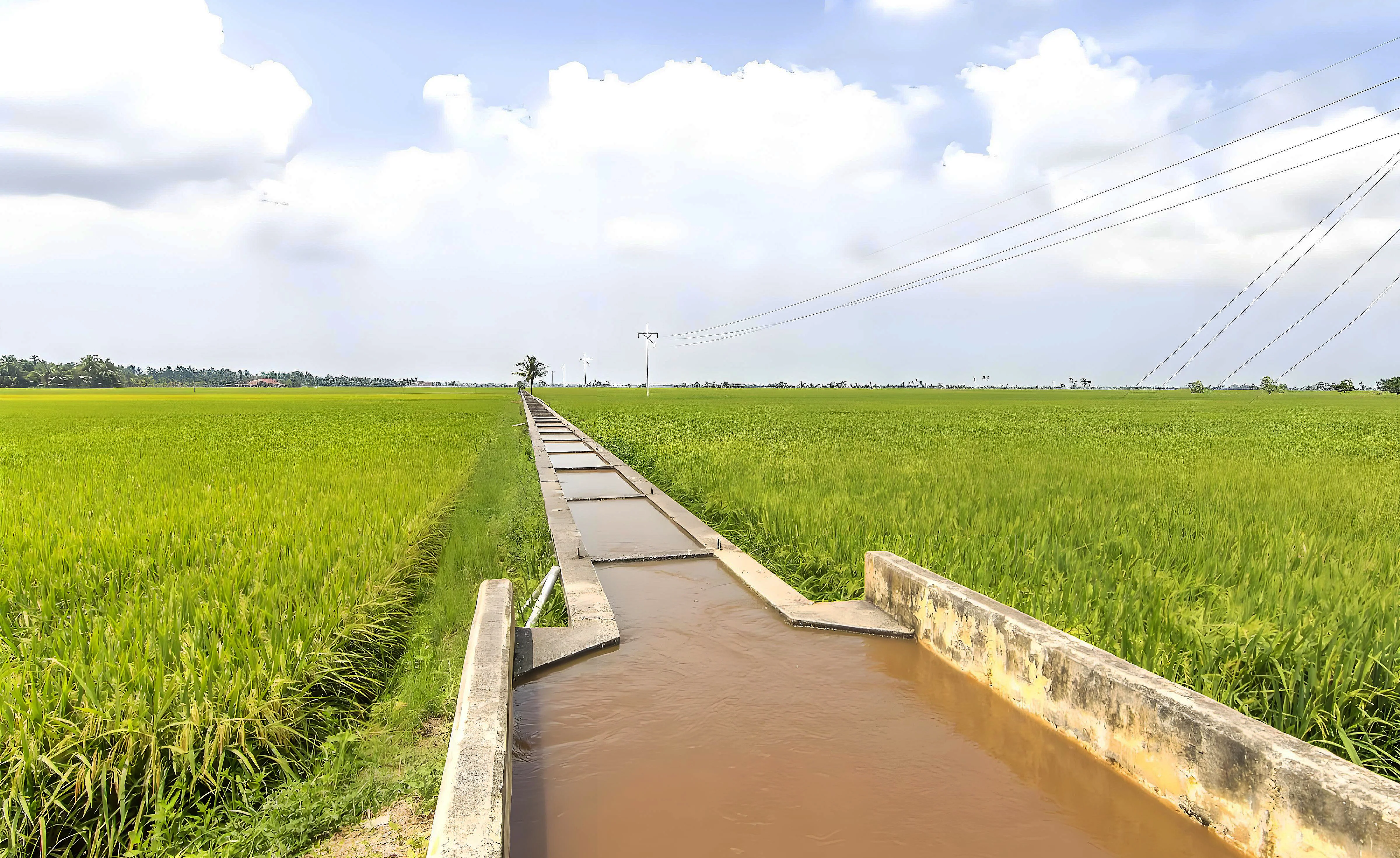 压力变送器
压力变送器